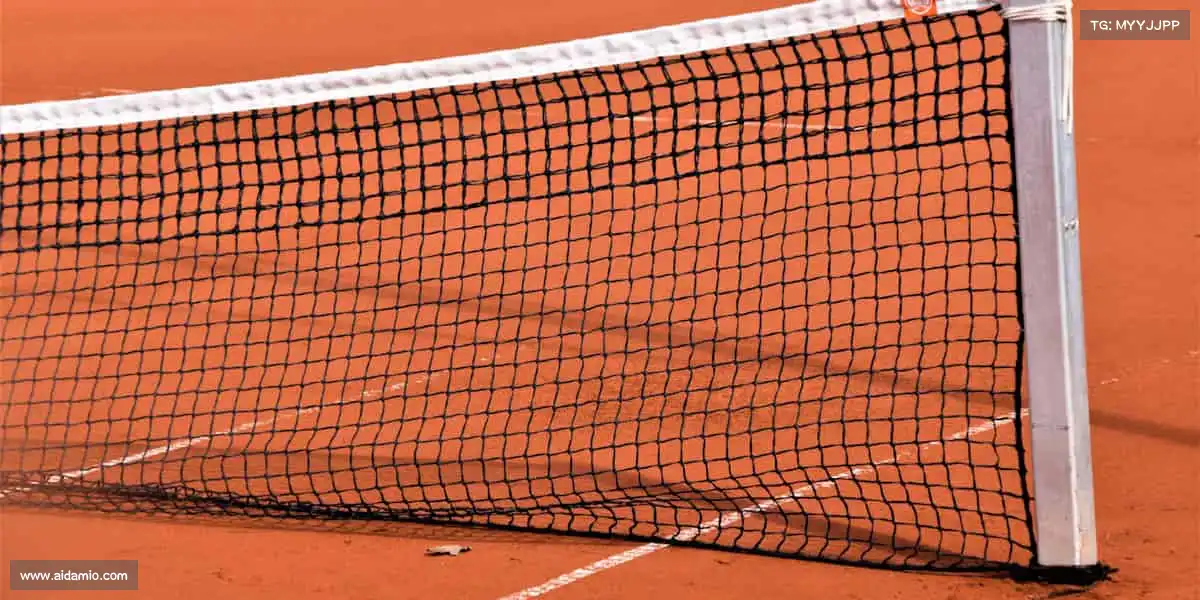 多宝电竞🤼♂️摔倒?站起来!这就是体育的精神!